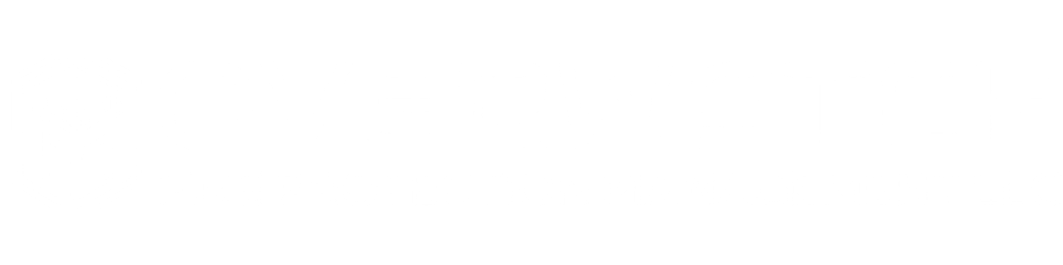 Overwatch